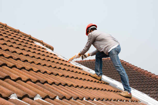 Siding in Hialeah Gardens, FL